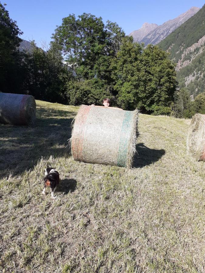 Appartamento Signorile Con Giardino Aosta Eksteriør billede