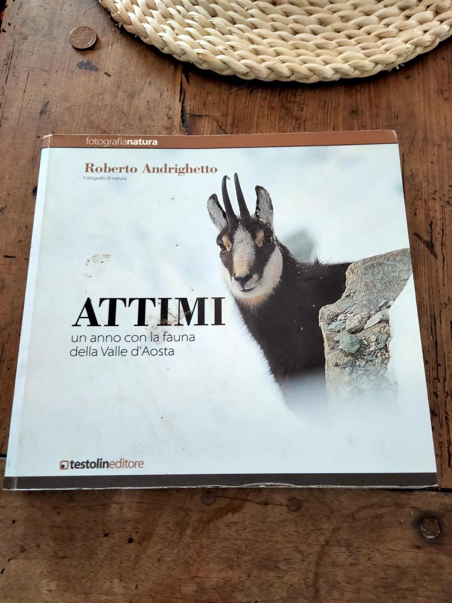 Appartamento Signorile Con Giardino Aosta Eksteriør billede