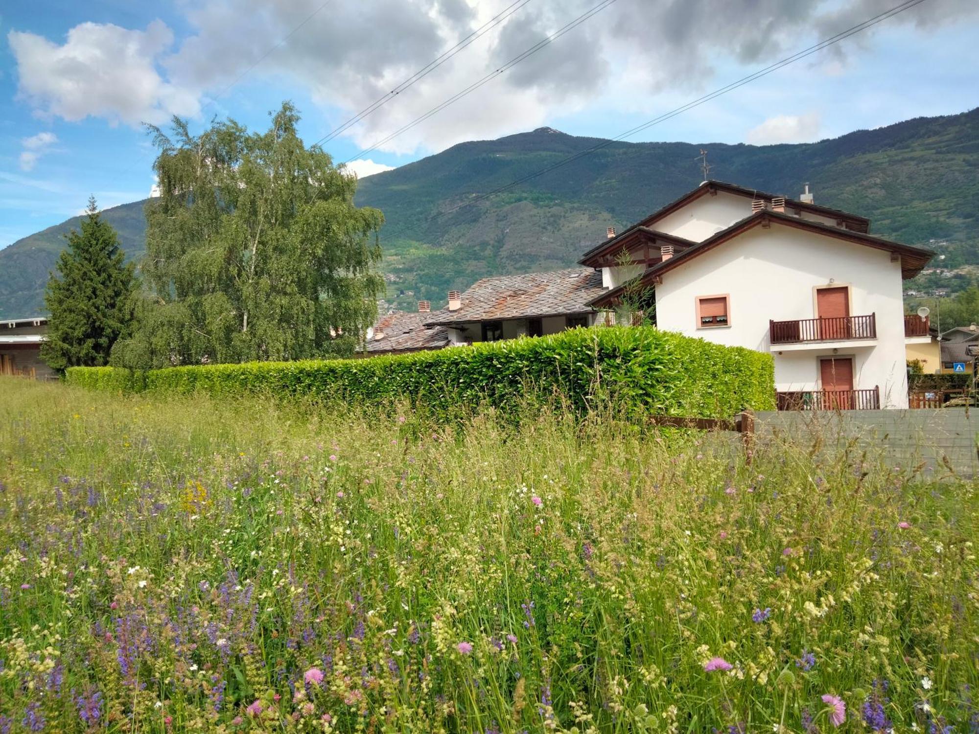 Appartamento Signorile Con Giardino Aosta Eksteriør billede